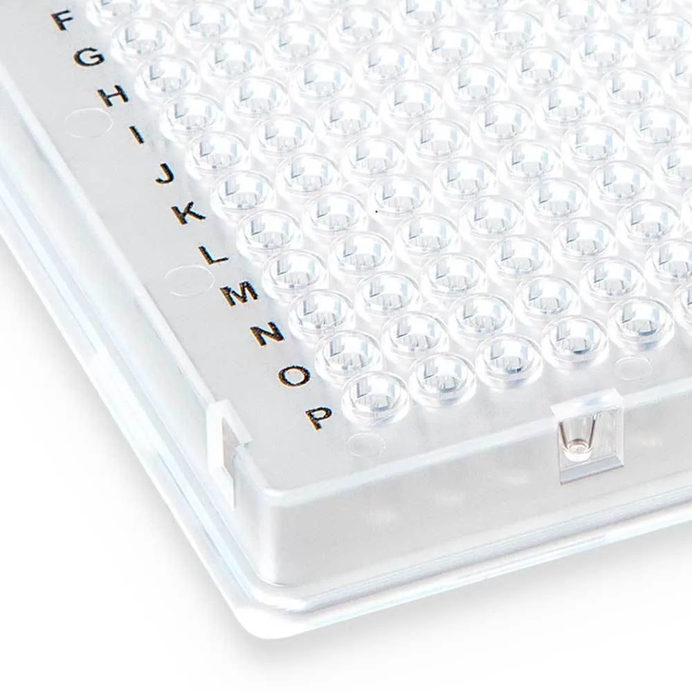 384-well PCR plate, A24 single notch, white