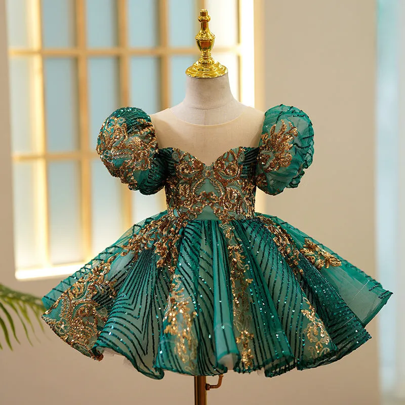 Adorable Princess Dress for Girls Showcasing a Sweet and Feminine Vibe Delicate Embroidery