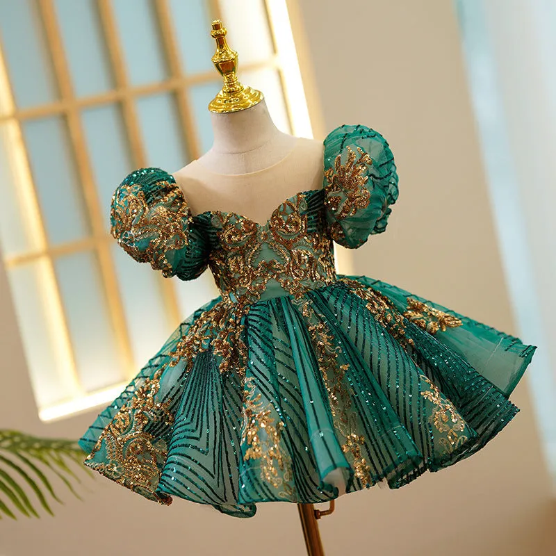 Adorable Princess Dress for Girls Showcasing a Sweet and Feminine Vibe Delicate Embroidery