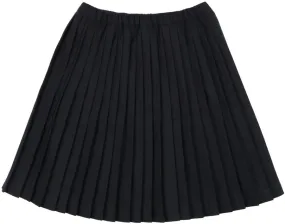 Analogie Navy Knife Pleated Skirt