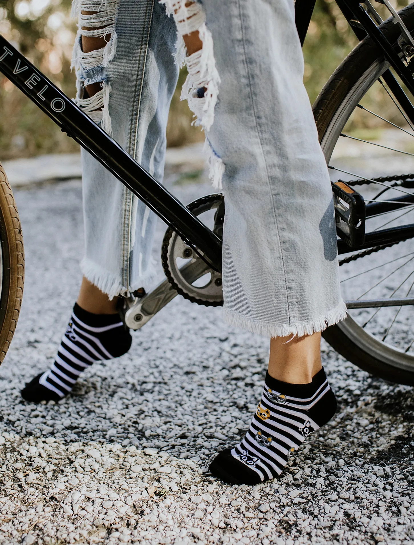 Cats & Stripes Black & White Low Odd Socks