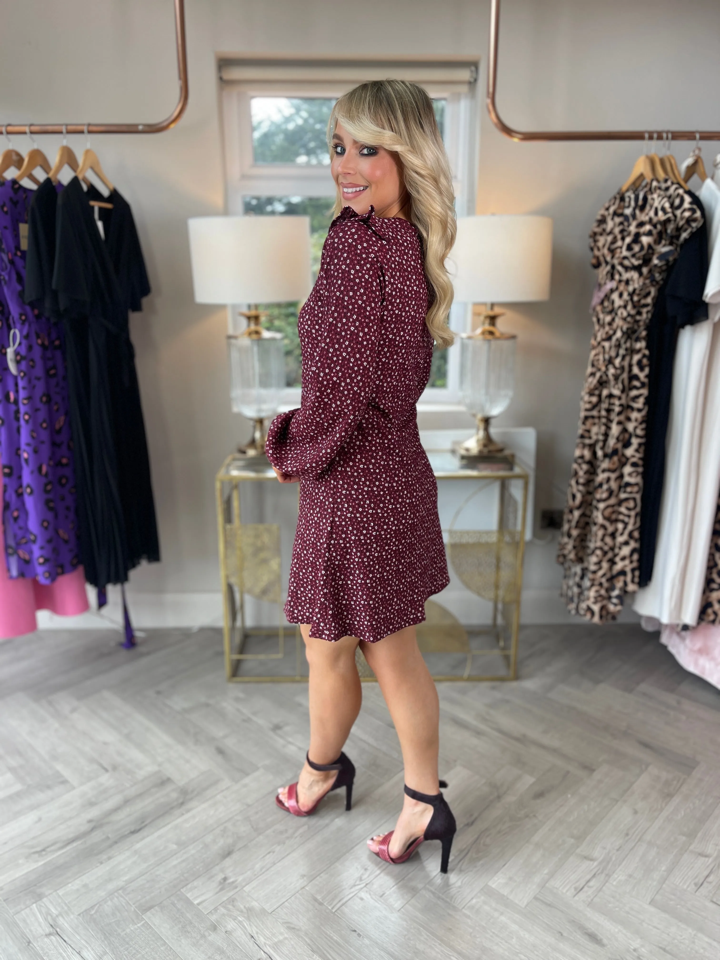 Delma Dress Burgundy